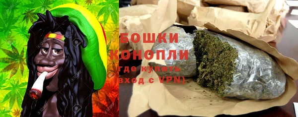 крисы Карпинск