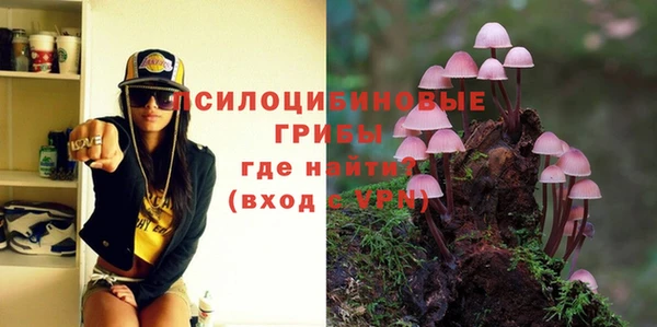 герыч Каменка